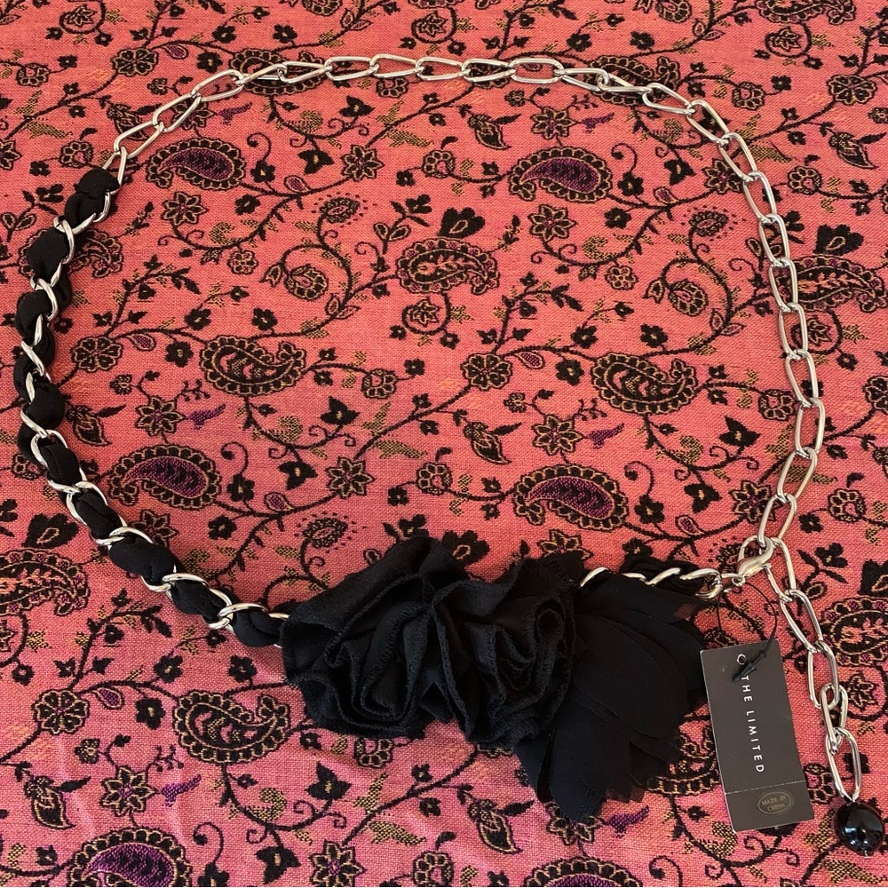 *NWT* The Limited Chain Link Belt